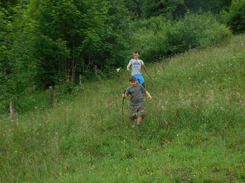 DSCN0984.JPG - Robin weiss wo suchen..