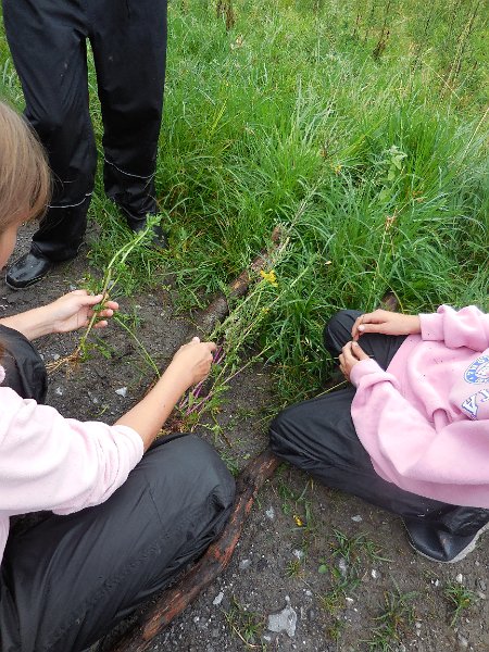 DSCN0995.JPG - Gruppe Terra hat die ersten Kräuter gefunden