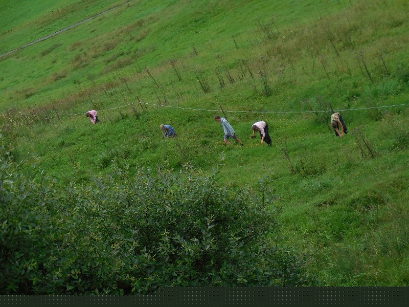 DSCN0999.JPG - Auch bei Gruppe Panter läuft die Suche auf Hochtouren