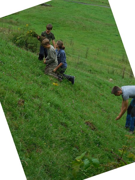 DSCN1005.JPG - Viele Kräuter auf einem Haufen!