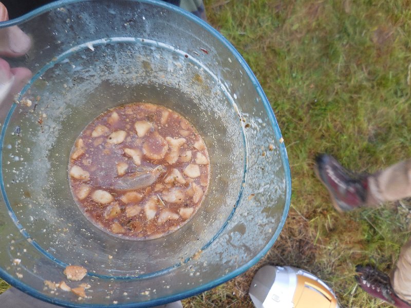 DSCN1164.JPG - Sieht doch ganz legaa aus :-)