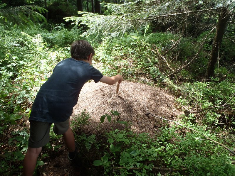 P7111195.JPG - ..gefährliche Aktion..